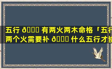 五行 🐈 有两火两木命格「五行两个火需要补 🕊 什么五行才协调」